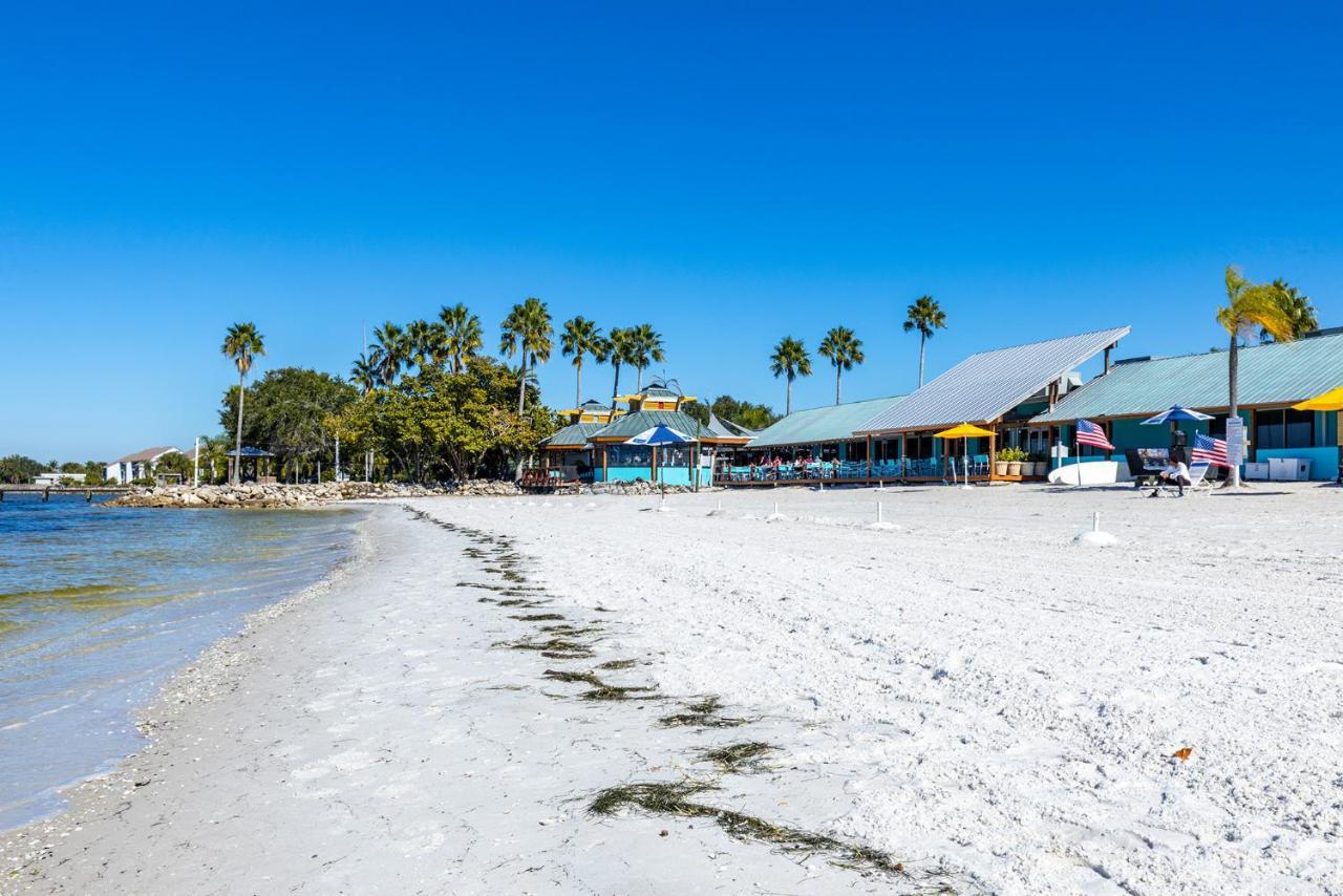 Come Stay Where The Dolphins Play! Ruskin Bagian luar foto
